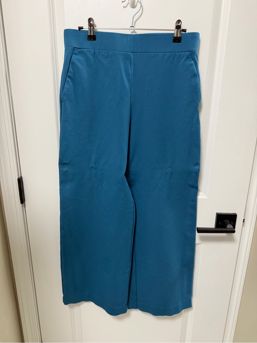 Ann Taylor Weekend Blue Pull-On Pants